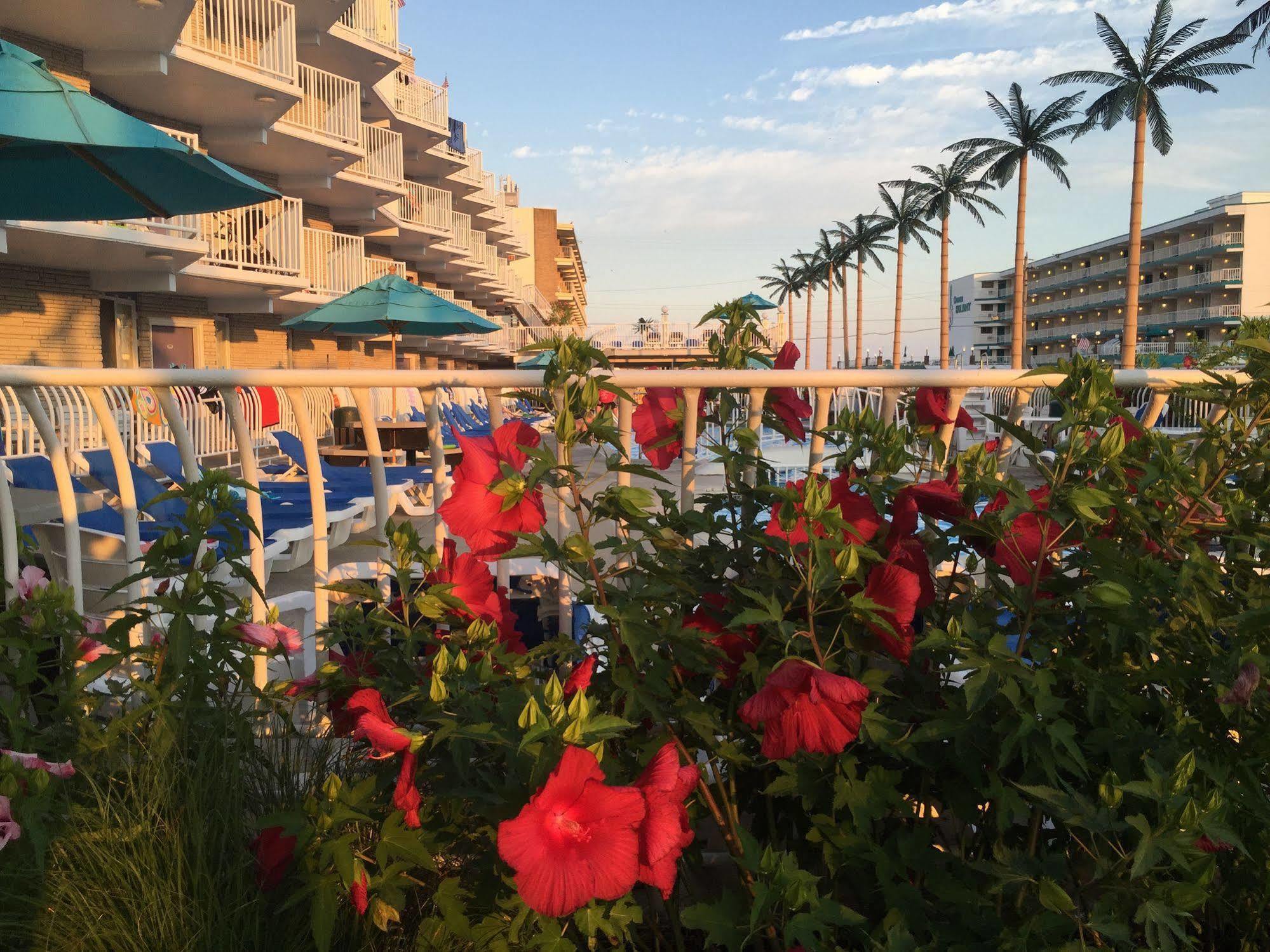 Shalimar Hotel Wildwood Crest